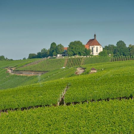 Hotel Vogelsburg Escherndorf Exteriér fotografie