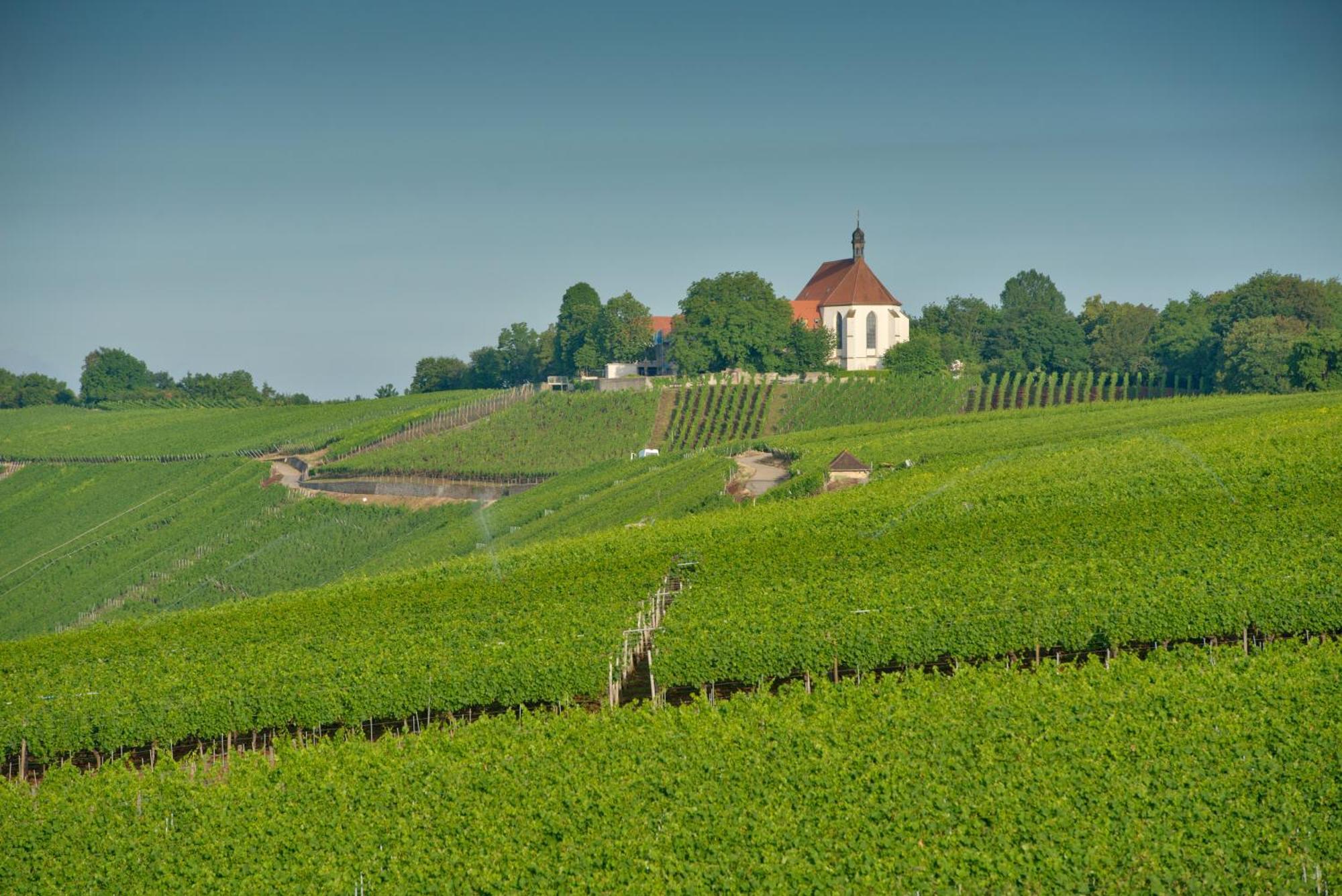 Hotel Vogelsburg Escherndorf Exteriér fotografie