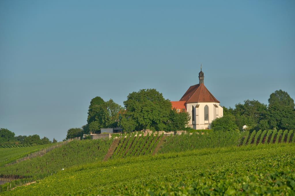 Hotel Vogelsburg Escherndorf Exteriér fotografie