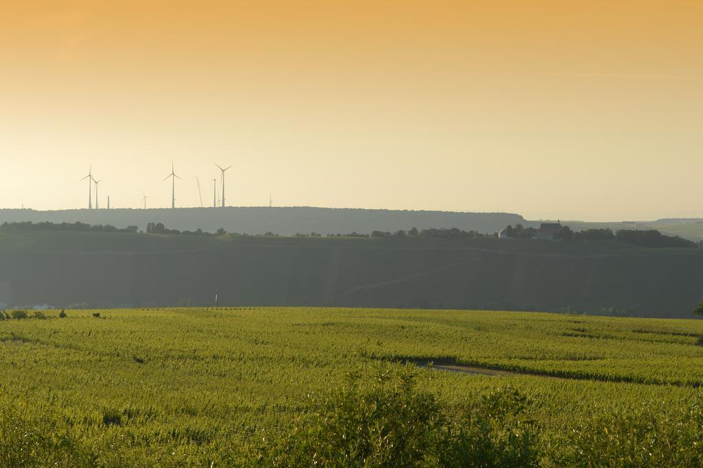 Hotel Vogelsburg Escherndorf Exteriér fotografie