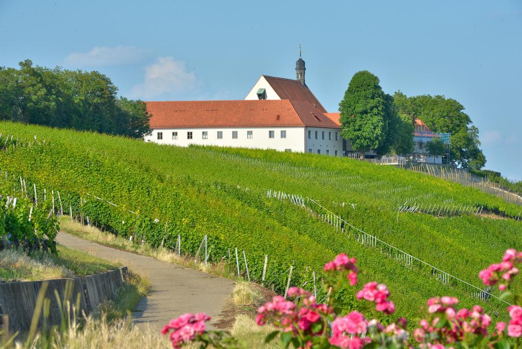 Hotel Vogelsburg Escherndorf Exteriér fotografie