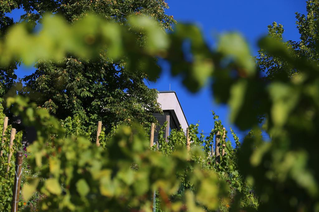 Hotel Vogelsburg Escherndorf Exteriér fotografie
