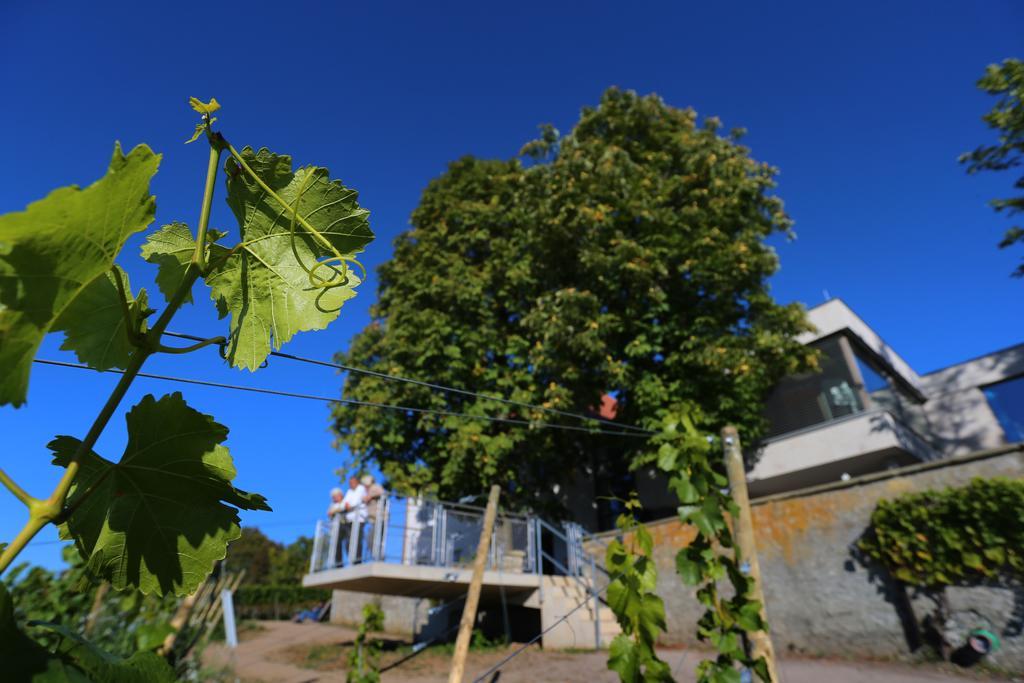 Hotel Vogelsburg Escherndorf Exteriér fotografie