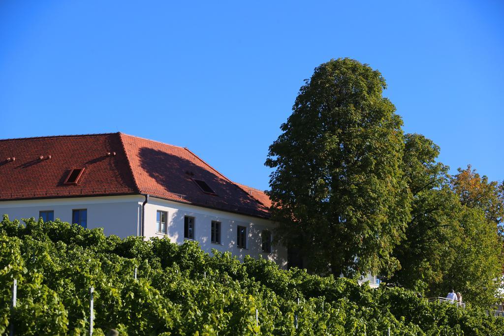 Hotel Vogelsburg Escherndorf Exteriér fotografie