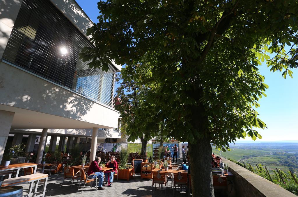 Hotel Vogelsburg Escherndorf Exteriér fotografie