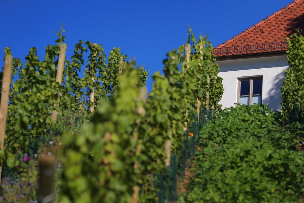 Hotel Vogelsburg Escherndorf Exteriér fotografie