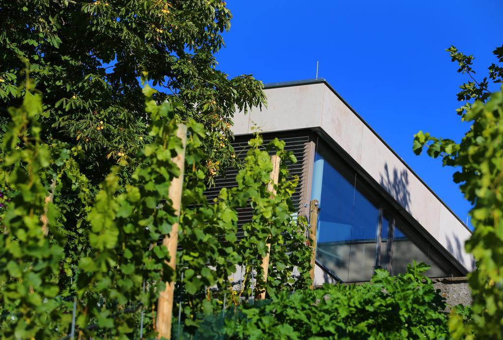 Hotel Vogelsburg Escherndorf Exteriér fotografie