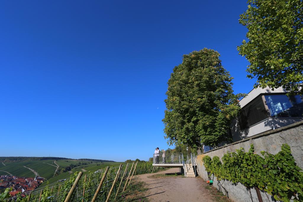 Hotel Vogelsburg Escherndorf Exteriér fotografie